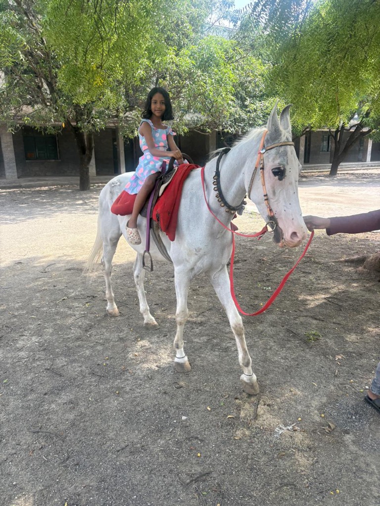 Horse Riding